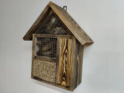 Image de Hôtel à insectes Rucher Nichoir Hôtel à abeilles Maison à papillons Nouveau Moderne