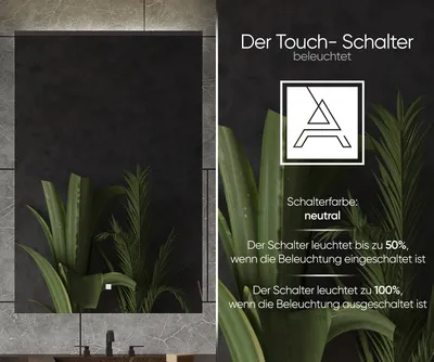 A split image showing a bathroom mirror with LED lighting on the left and marketing text and graphics on the right, with plants as a decorative element.