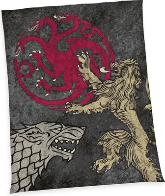Produktbild von Game Thrones Wellsoft-Flauschdecke, 150x200 cm, 100% Polyester, Wellsoft