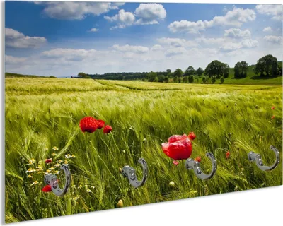 Produktbild von Wallario Schlüsselbrett aus Glas, Motiv: Mohnblumenwiese auf grüner Wiese unter blauem Himmel, 30 x 20 cm mit 4 Haken