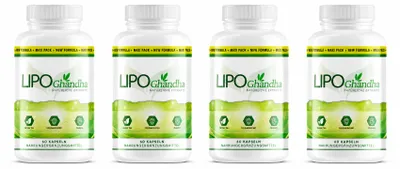 Produktbild von Lipoganda-4 x, KI-generiertes Bild
