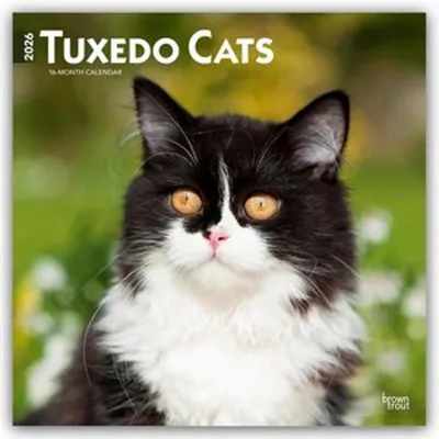 Produktbild von Tuxedo Cats - Tuxedo Katzen 2026 - 16-Monatskalender