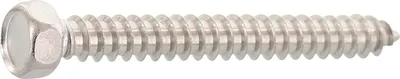 Produktbild von DIN7976C 4.8x 13 Edelstahl A2 Sechskantkopf-Blechschraube ISO1479