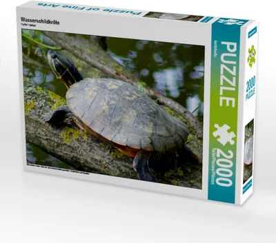 Produktbild von Calvendo Wasserschildkröte 2000 Teile Puzzle quer 900x670mm, CALVENDO; 7416858