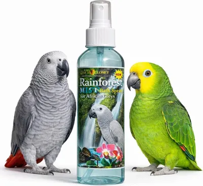 Zdjęcie produktu dla RAINFOREST Mist - naturalny preparat kondycjonujący pióra dla Amazonek i Żako, 237 ml