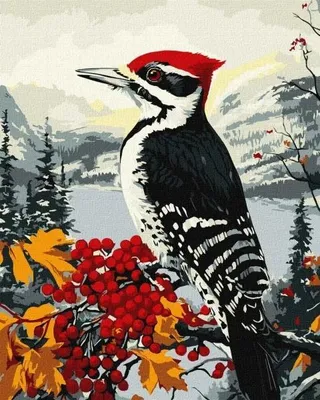 Obrázek produktu pro Malování podle čísel – Datel na větvi, 40 x 50 cm – Ideyka