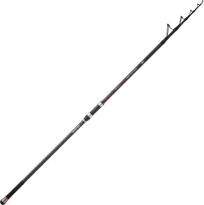 Produktbild von Daiwa Emblem Type R Teleskop-surfcasting-rute Silber 4.20 m / 200 g Silber 4.20 m
