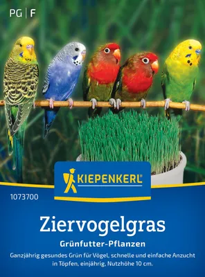 Produktbild von Kiepenkerl Rasensamen Ziervogelgras Frischgrün Mischung für ca. 1 m²