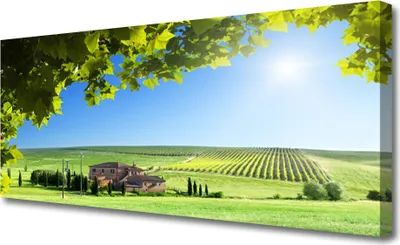 Produktbild von Tulup Leinwand-Bilder 125x50 Wandbild Canvas Kunstdruck Ackerfeld Blätter Landschaft