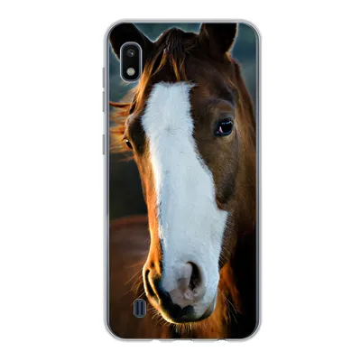 Produktbild von MuchoWow® Handyhülle Schutzhülle Hülle für Samsung Galaxy A10 Pferd - Kopf - Licht Silikon Softcase Handy Hülle - Schutzhülle