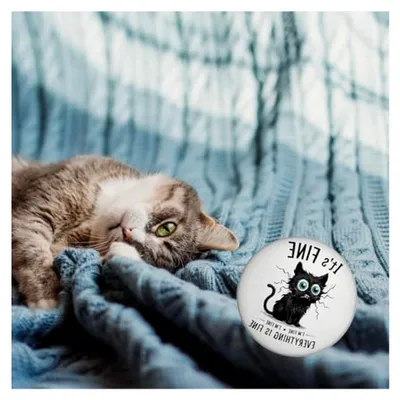 Produktbild von Magnet mit Flaschenöffner und Spruch von einer schwarzen Katze