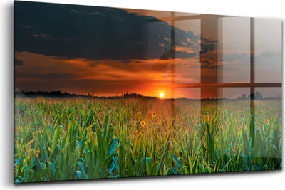 Produktbild von 120x60 - Wandmalerei auf Glas- Wanddekoration aus Glas - Sonnenblumen auf einer Wiese bei Sonnenuntergang