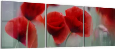 Produktbild von DEQORI Glasbild Echtglas 3x50x50 cm 'Mohnblütenzauber' Wandbilder XXL groß