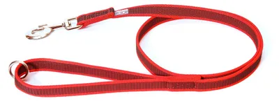 Image de Color & Gray - Laisse en caoutchouc - Rouge-gris 20 mm/1,2 m avec boucle et joint torique max pour chiens de 50 kg