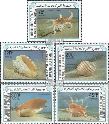 Produktbild von Briefmarken Komoren 1985 Mi 746-750 (kompl.Ausg.) postfrisch Meeresschnecken