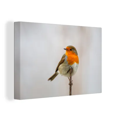 Obrázek produktu pro OneMillionCanvasses® Malba na plátně Nástěnná malba na plátně - Robin - Větve - Zvířata - 150x100cm