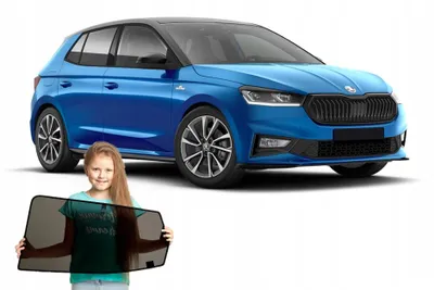 Produktbild von RayStop Sonnenschutzgitter für Skoda Fabia 4 IV Hatchback ab 2021