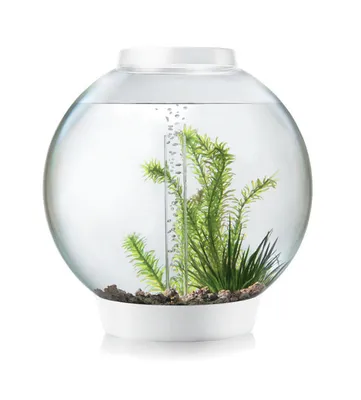 Produktbild von Oase biOrb CLASSIC 30 Liter Aquarium MCR weiß