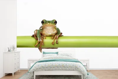 Produktbild von MuchoWow® Fototapete für Wohnzimmer oder Schlafzimmer Wandtapete Vinyl Motivtapete Frosch - Bambus - Weiß - 360x240 cm - Vinyl-Tapete