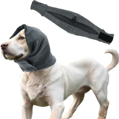 Productafbeelding van Halsband voor honden, gemaakt van duurzaam polyester - ideaal voor vachtverzorging - comfortabel en verstelbaar