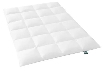 Produktbild von Bettdecke Daunen Kassettenbett Alaska 200x200 cm Warm f.a.n. Frankenstolz