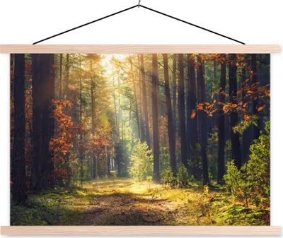 Produktbild von MuchoWow® Textilposter Wald - Herbst - Bäume 120x80 cm mit holzfarbenen Rahmen - Aufhängeset