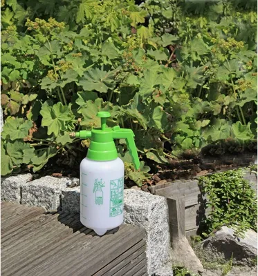 Produktbild von Gartenspritze 1 Liter Drucksprüher Pumpsprüher Pflanzensprüher Handsprüher