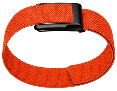 Image de Bandage en nylon pour les biceps, idéal pour le sport et les activités