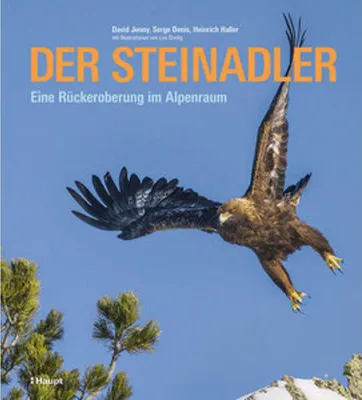 Obrázok produktu pre Der Steinadler