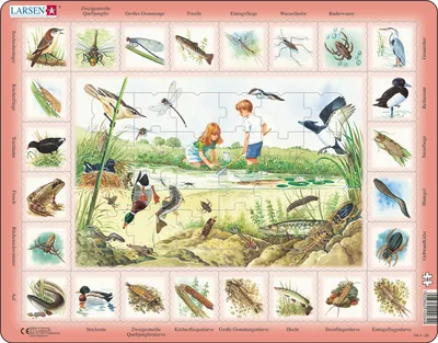 Produktbild von Larsen Maxi NA3, 48 Stück(e), Fauna