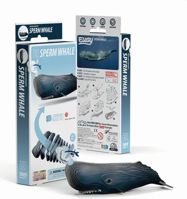 Produktbild von EUGY - 3D Bastelset Pottwal
