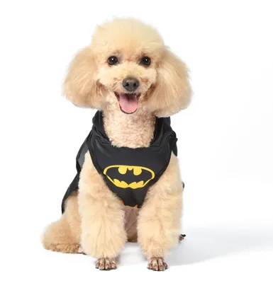 Productafbeelding van DC Comics Batman-hondenpak, maat S, het beste DC Comics Batman-kostuum voor Halloween