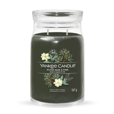 Obrázok produktu pre Yankee Candle Silver Sage & Pine Veľká nádoba 567g