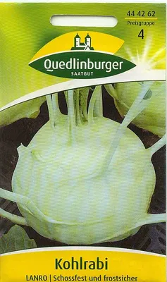 Produktbild von Quedlinburger Saatgut - Kohlrabi Lanro - Samen - 444262