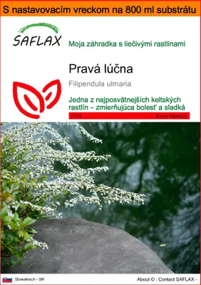 Obrázok produktu pre SAFLAX Garden in the bag - Pravá lúčna - Filipendula ulmaria - 500 Semená - S pestovateľským substrátom v praktickom samostaviteľnom vrecku