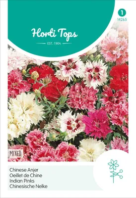Image de Œillet de Chine Mélange farci | Graines d'œillets de Hortitops