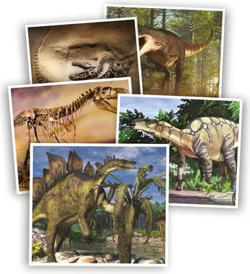 Obrázek produktu pro Kvíz o dinosaurech pro děti, zábavný a vzdělávací, věk 7+