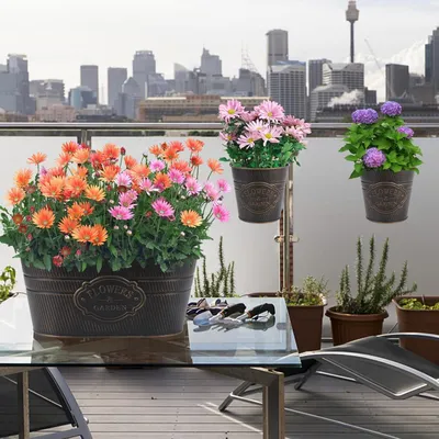 Immagine prodotto di Vasi da fiori sospesi in metallo - Set da 3 - Con ganci metallici rimovibili - Per piante da esterno: balcone, giardino