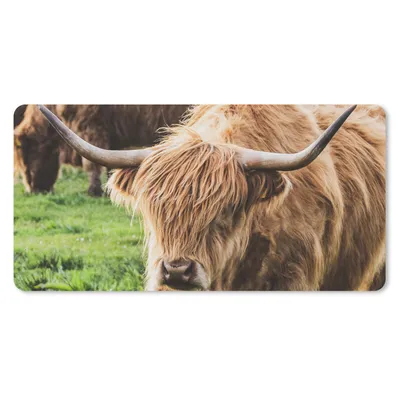 Produktbild von MuchoWow® Schreibtischunterlage Kuh - Highlander - Tiere 80x40 cm - XXL Mauspad - Gaming Mauspad