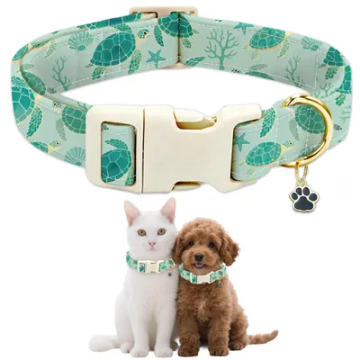 Produktbild von Hundehalsband mit Meeresschildkrötenmotiv für kleine Hunde