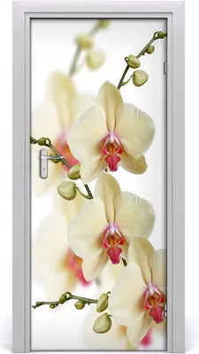 Produktbild von Tulup Türaufkleber 85x205 cm Dekorative Aufkleber Selbstklebend Wasserdichte Tapete Abnehmbar Schlafzimmer Wohnzimmer Wohnkultur - Orchidee Wand