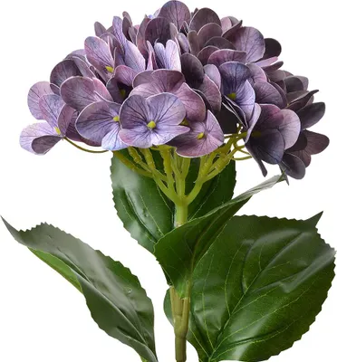 Obrázok produktu pre Clayre & Eef Umelý kvet hortenzie 68 cm fialový plast