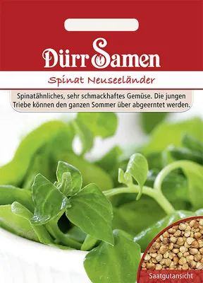 Produktbild von Dürr-Samen - Spinat Neuseeländer (Tetragonia tetragoinoides) - Saatgut - 0557