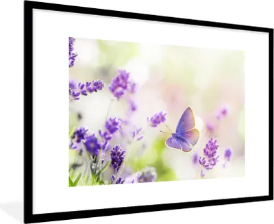 Produktbild von MuchoWow® Gerahmtes Poster Lavendel - Schmetterling - Blumen 90x60 cm - Poster mit Schwarzem Bilderrahmen Wandposter Rahmen Foto Bilder - Wanddekoration - Fotos