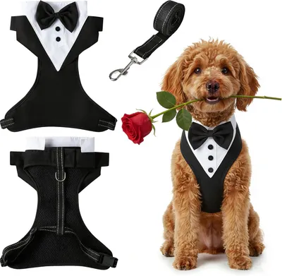 Imagen del producto de Arnés para perros con correa, antiladridos, ajustable, acolchado, talla M, para perros pequeños y medianos