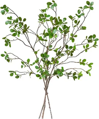 Imagen del producto de Ramas de ficus artificiales, color verde, 3 unidades, 68 cm de largo, para decoración