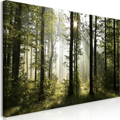 Produktbild von Wandbild Mega XXXL Wald 250x125 cm Einteiliger XXL-Format Kunstdruck zur Selbstmontage Leinwandbilder moderne Bilder DIY Wanddekoration Wohnung Deko Baum Bäume Natur c-B-0254-ak-e