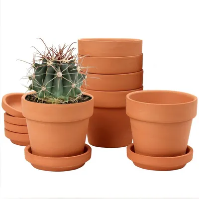 Image de Petits pots en terre cuite, lot de 6, avec soucoupes, dimensions 10 x 10 cm, pour plantes d'intérieur et décoration