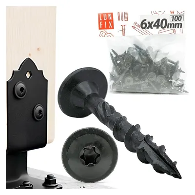 Image de Vis à bois 6 x 40 mm - 100 pièces, galvanisées, à tête Torx