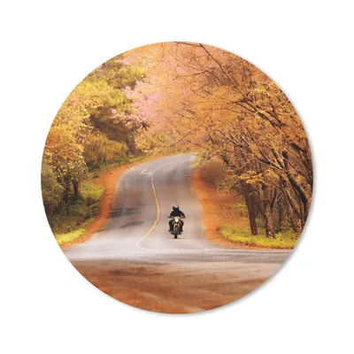 Produktbild von MuchoWow® Mauspad Mousepad Motorrad zwischen Herbstbäumen 50x50 cm - Mousepads - Maus Mat - Pad - Mausunterlage - Vinyl